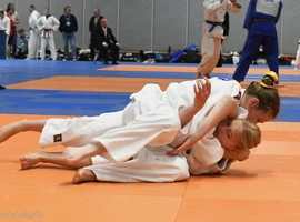 DSC_1958-(W).webp