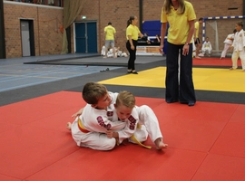 IMG_2826.webp