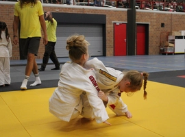 IMG_2862.webp
