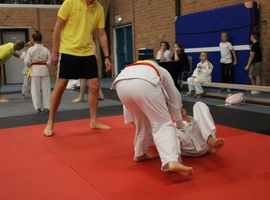 IMG_2884.webp