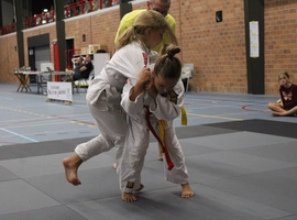 IMG_2886.webp