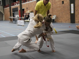 IMG_2887.webp