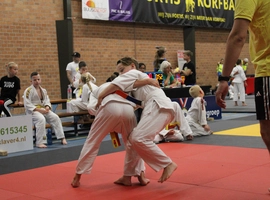 IMG_2890.webp