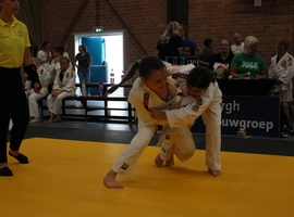 IMG_2907.webp