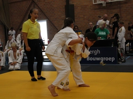 IMG_2908.webp