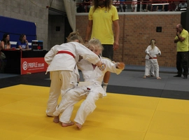 IMG_2911.webp