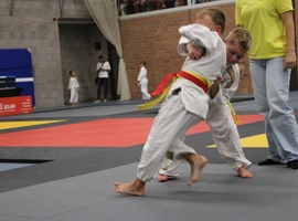 IMG_2929.webp