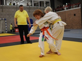 IMG_2936.webp