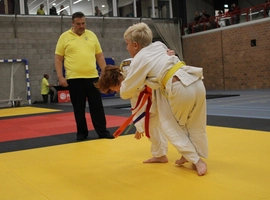 IMG_2937.webp