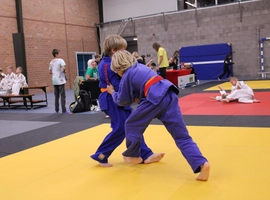 IMG_3266.webp
