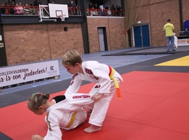 IMG_3282.webp