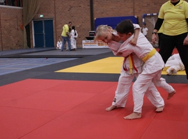 IMG_3287.webp