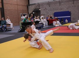 IMG_3307.webp