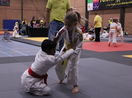 IMG_3312.webp