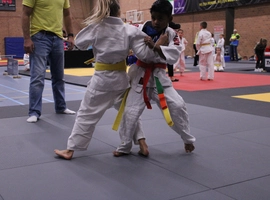 IMG_3317.webp