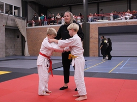 IMG_3336.webp