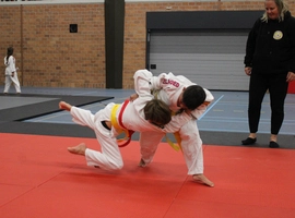 IMG_3340.webp