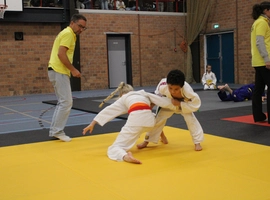 IMG_3419.webp
