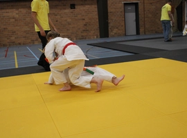 IMG_3420.webp