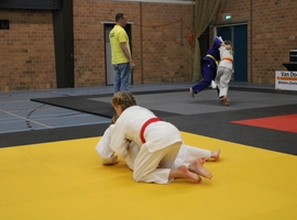 IMG_3423.webp