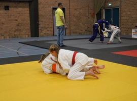 IMG_3424.webp