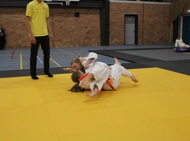 IMG_3427.webp