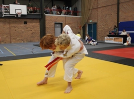 IMG_3428.webp