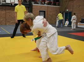 IMG_3434.webp