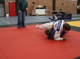 IMG_3464.webp
