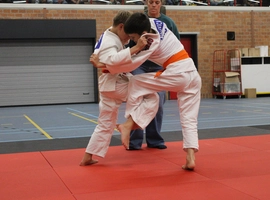 IMG_3471.webp