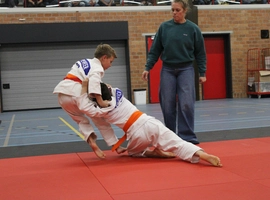 IMG_3472.webp
