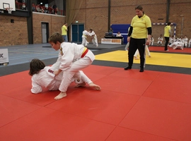 IMG_3497.webp