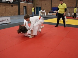 IMG_3498.webp