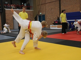 IMG_3502.webp