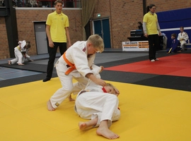 IMG_3504.webp