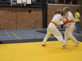 IMG_3505.webp