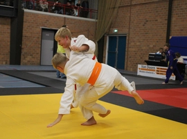IMG_3506.webp
