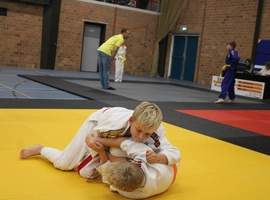 IMG_3509.webp