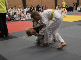 IMG_3513.webp
