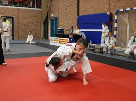 IMG_3520.webp