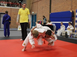IMG_3527.webp