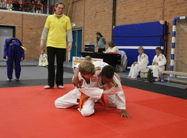 IMG_3529.webp