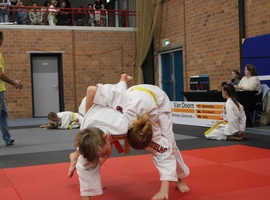 IMG_3533.webp