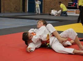 IMG_3542.webp