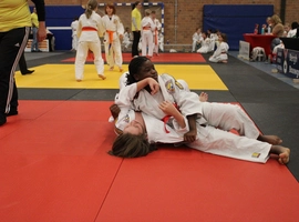 IMG_3548.webp