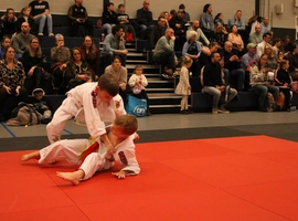 IMG_4500.webp