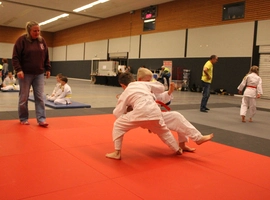 IMG_4506.webp