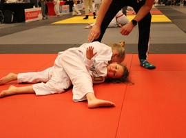 IMG_4515.webp
