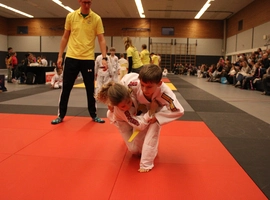 IMG_4516.webp
