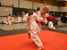 IMG_4523.webp